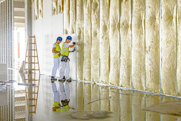 Best Commercial Insulation Services  in Lamar, TX